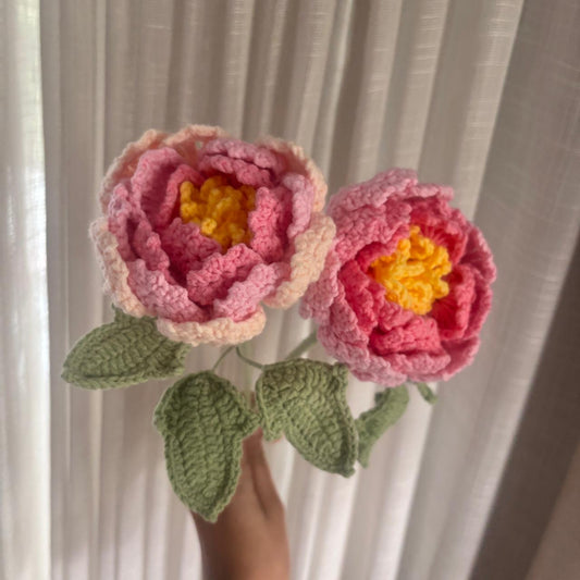 Peony set