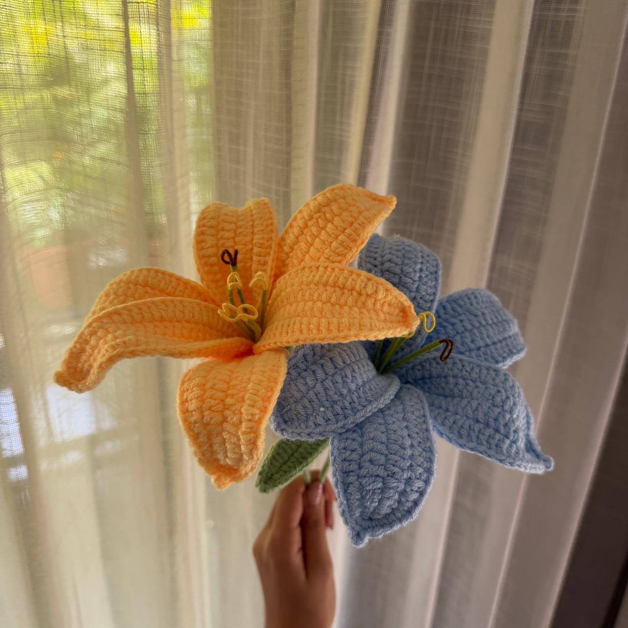 Coral Meadow