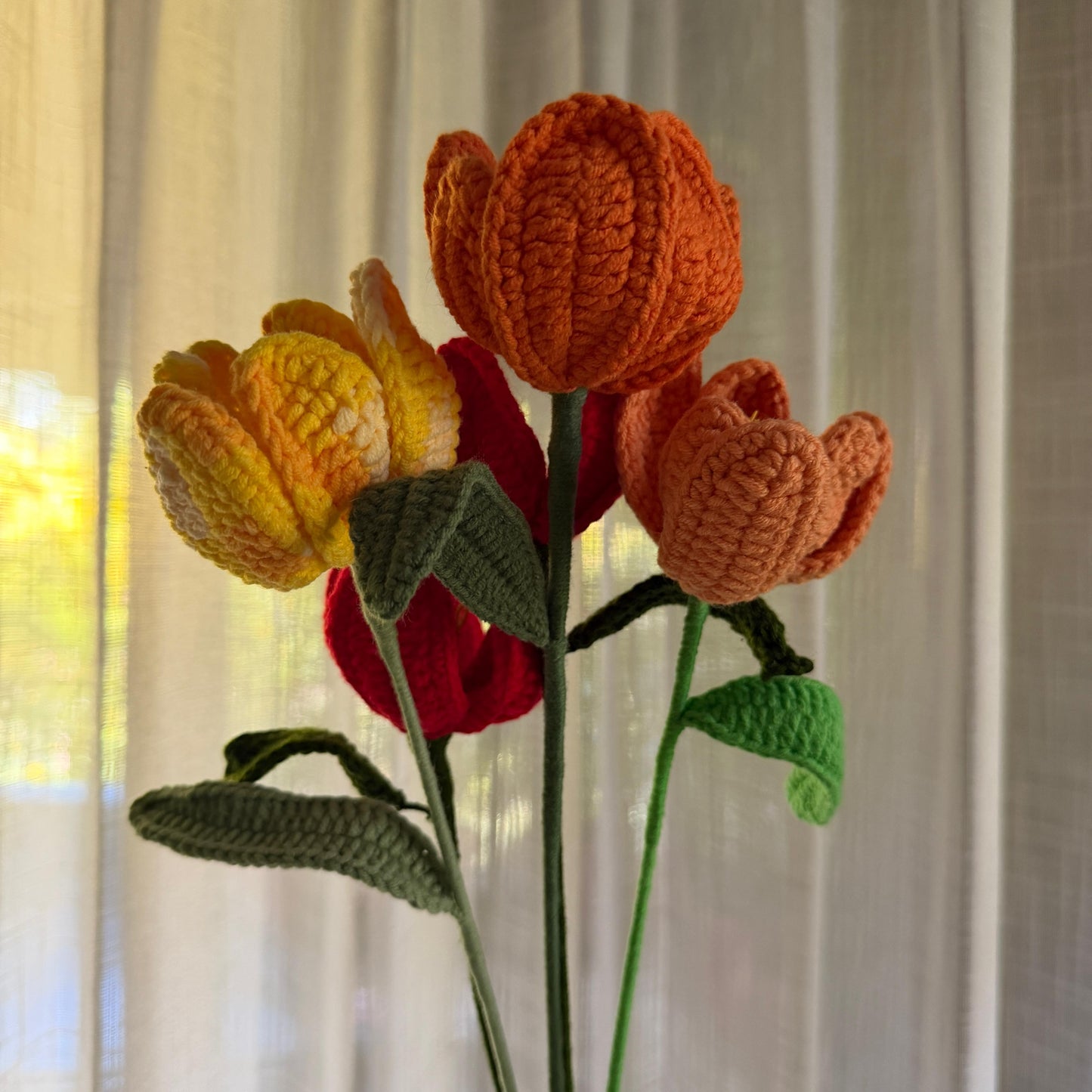 Valley of Tulips