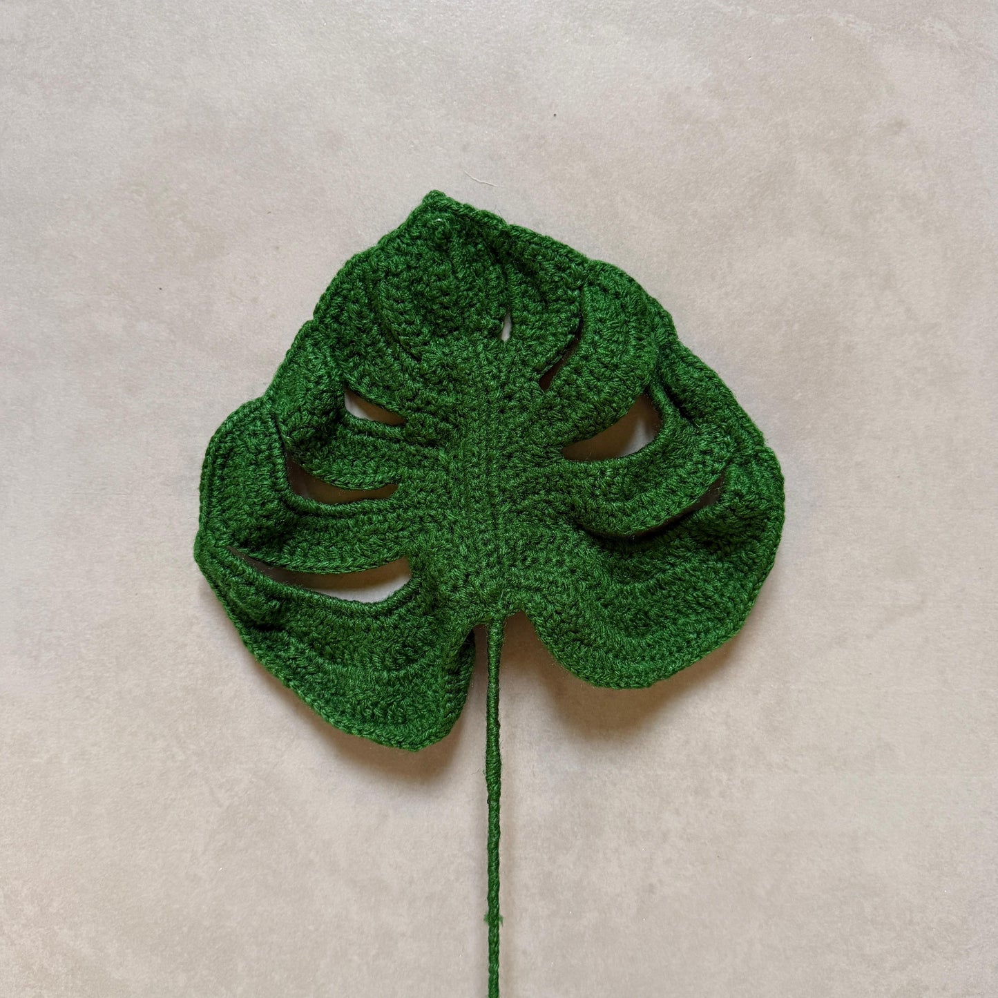 Monstera Leaf