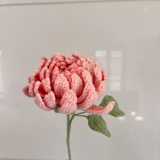 Pastel Dahlia's