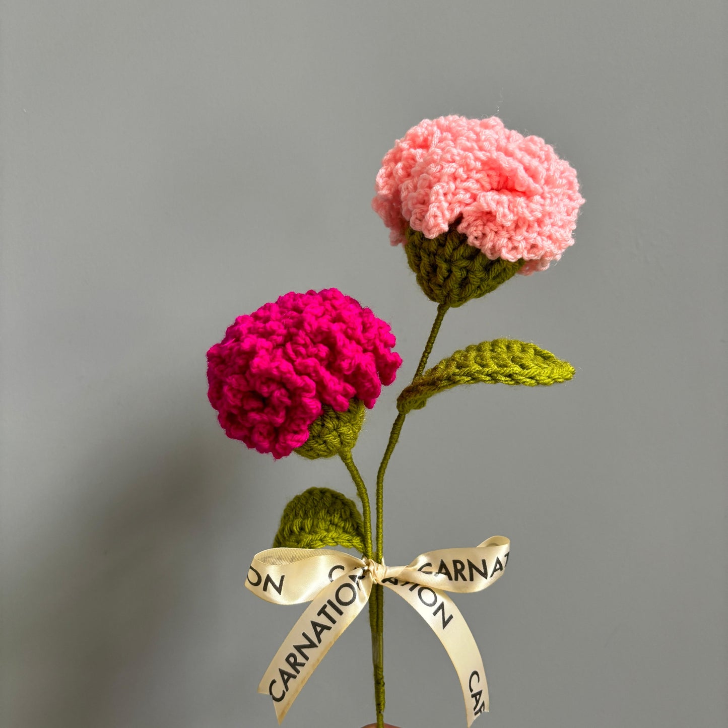 Carnation Pops