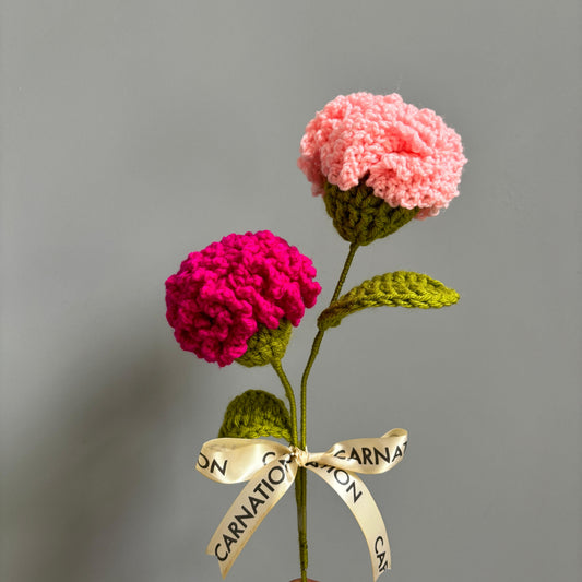 Carnation Pops