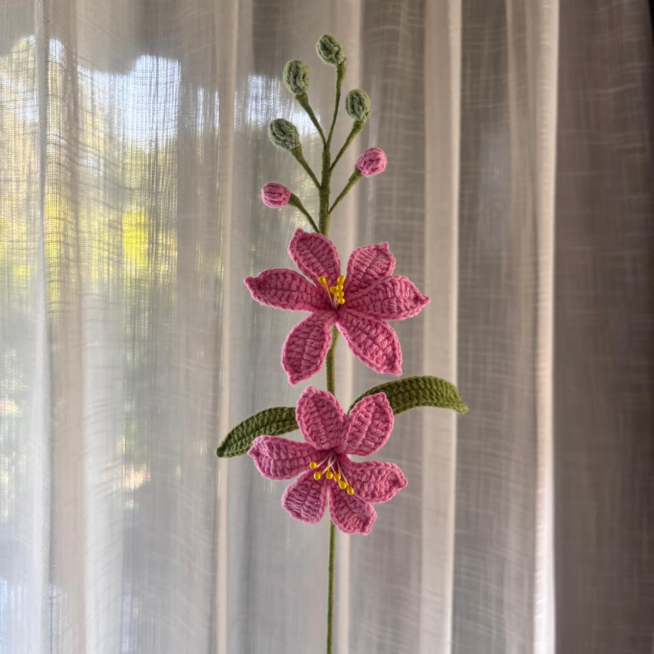 Not so wild lilies
