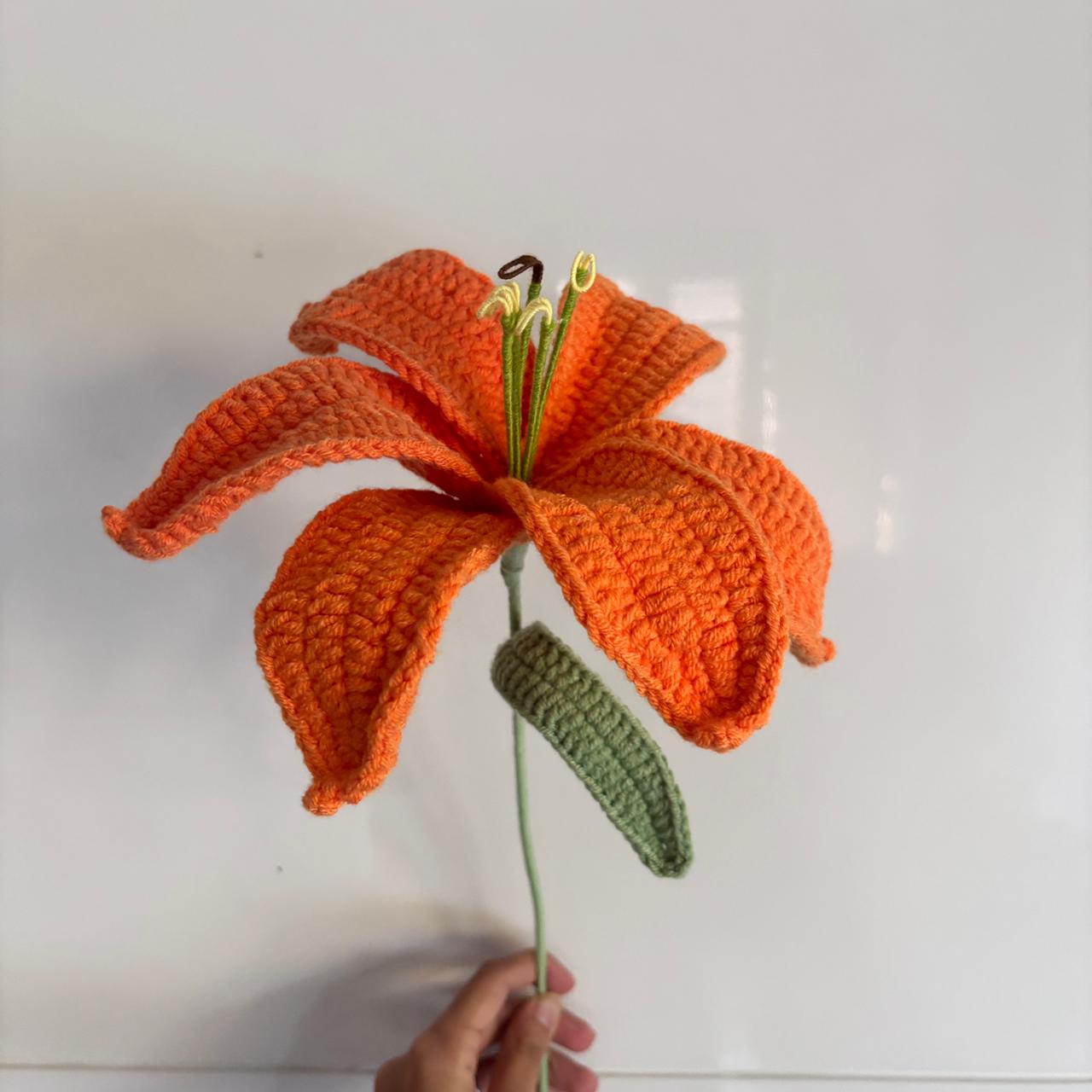 Jumbo lily