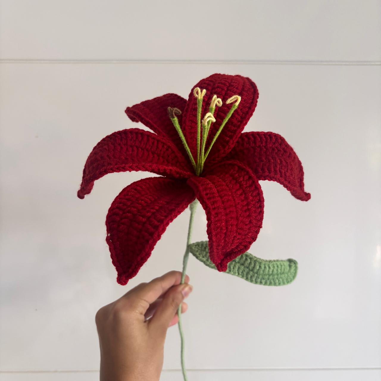 Jumbo lily