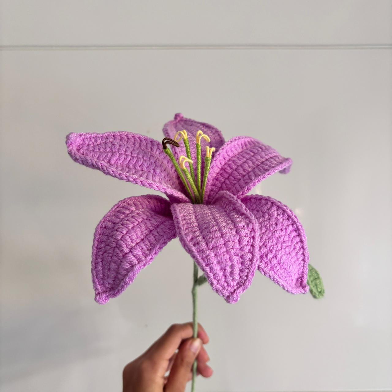 Jumbo lily