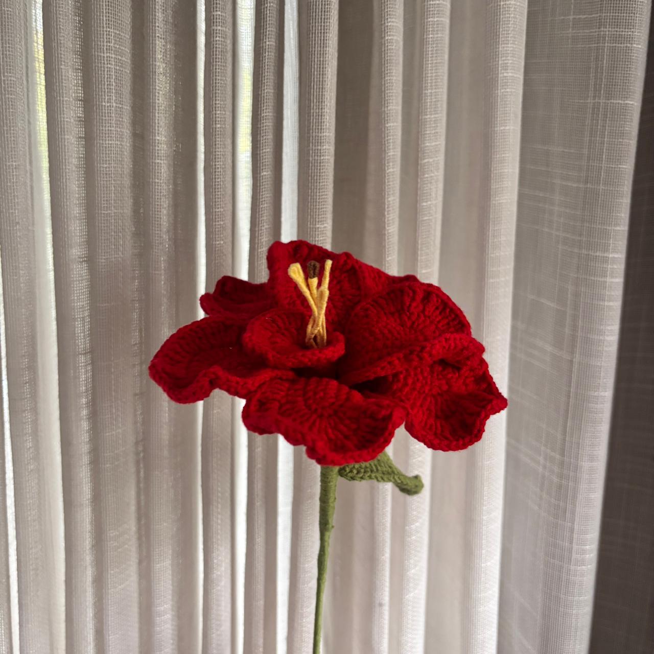 Red hibiscus