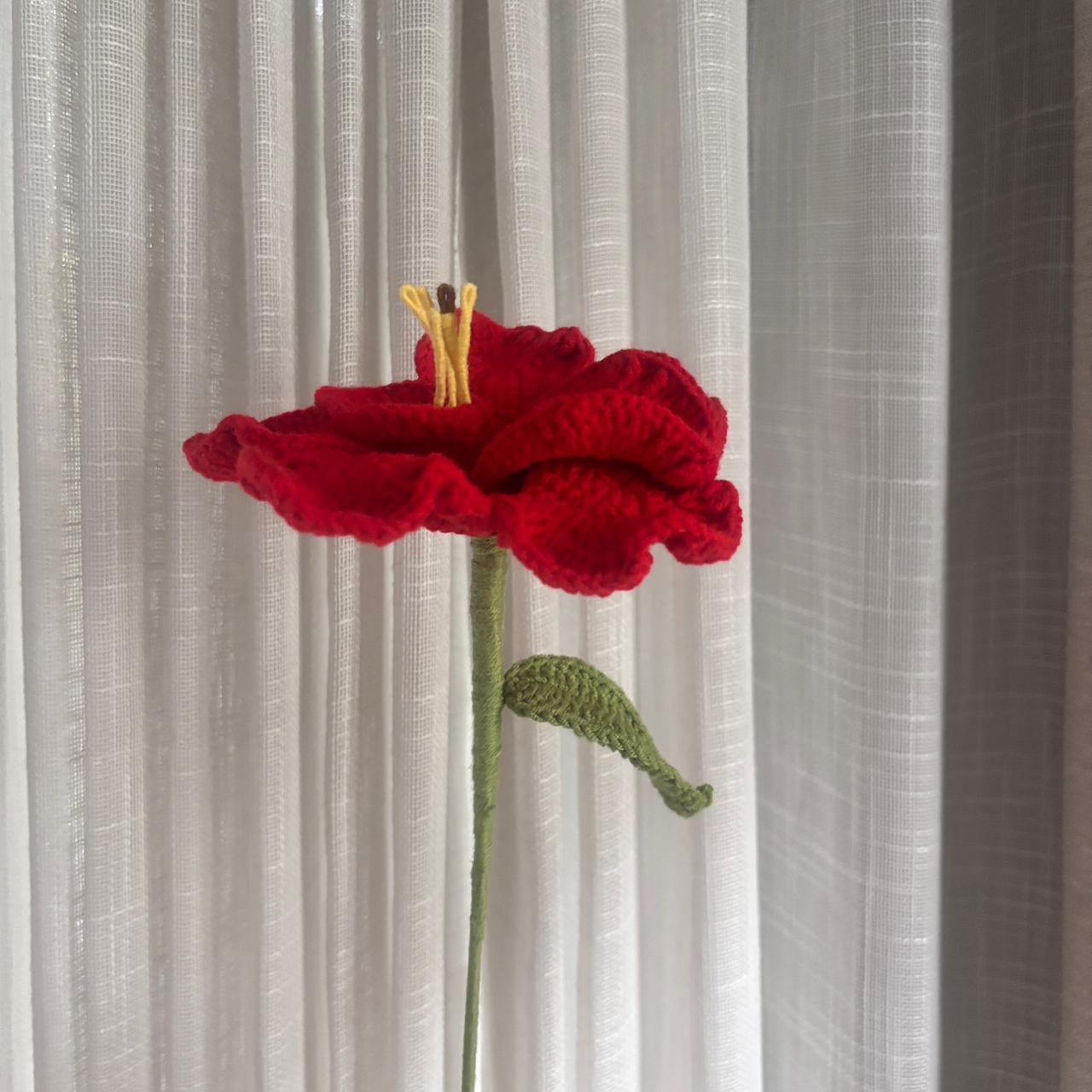 Red hibiscus