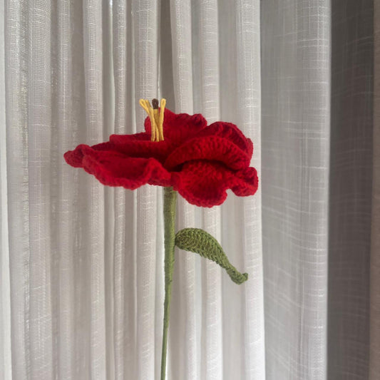Red hibiscus