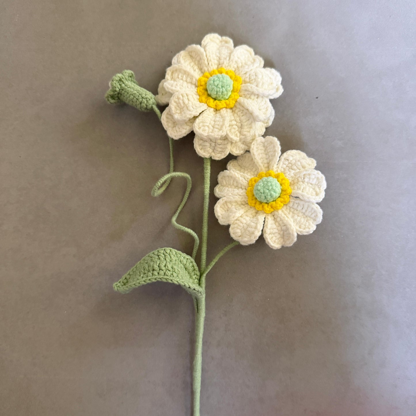 Twin gerbera stick