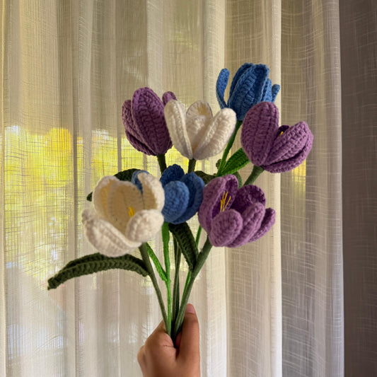 Unicorn tulip set