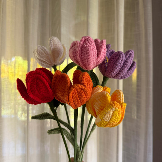 Rainbow tulip set