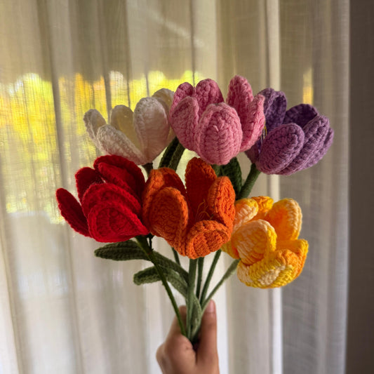 Rainbow tulip set