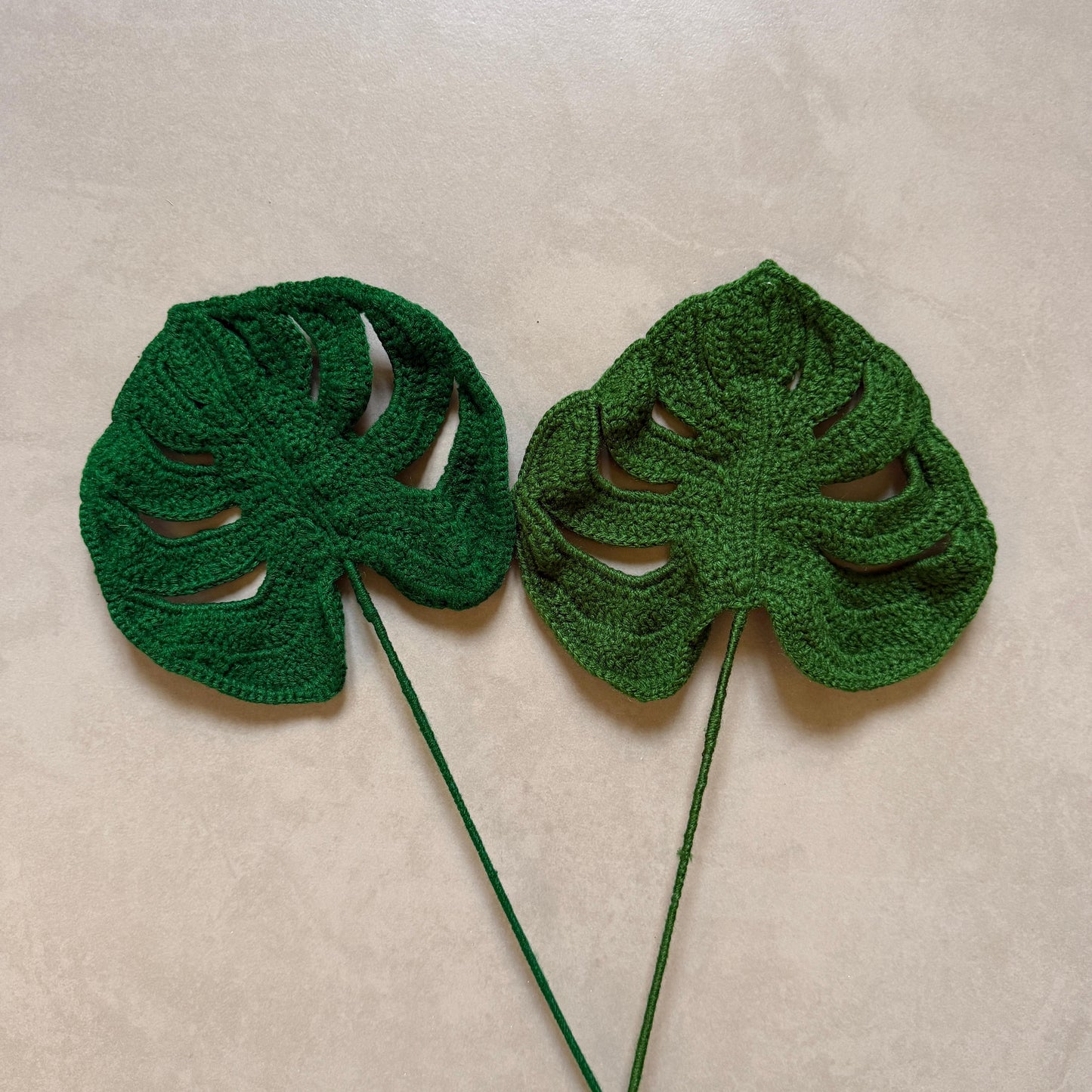 Monstera Leaf