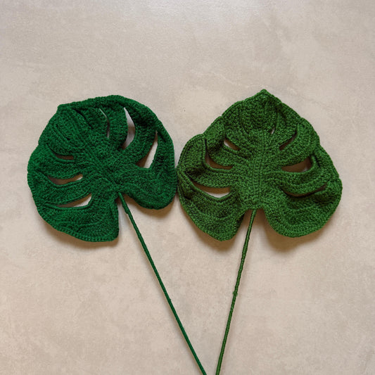 Monstera Leaf