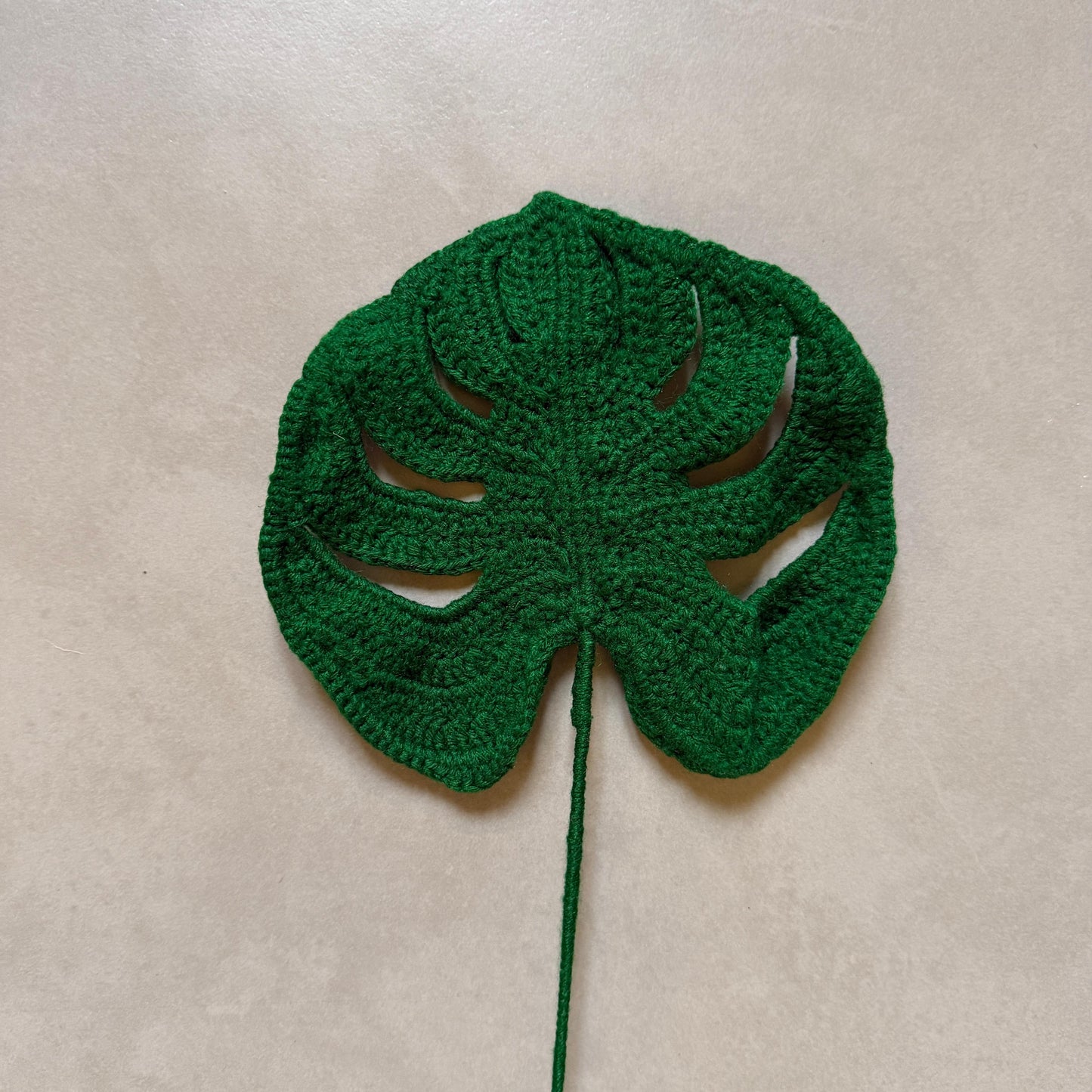 Monstera Leaf