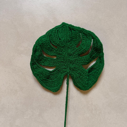 Monstera Leaf