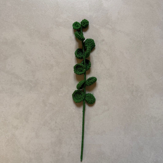 Eucalyptus Stem