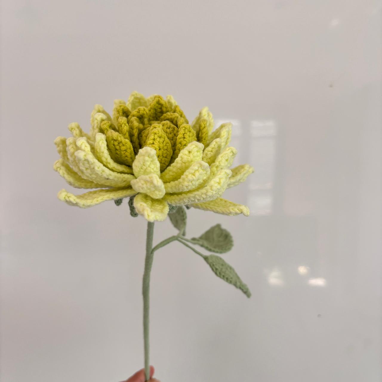 Pastel Dahlia's