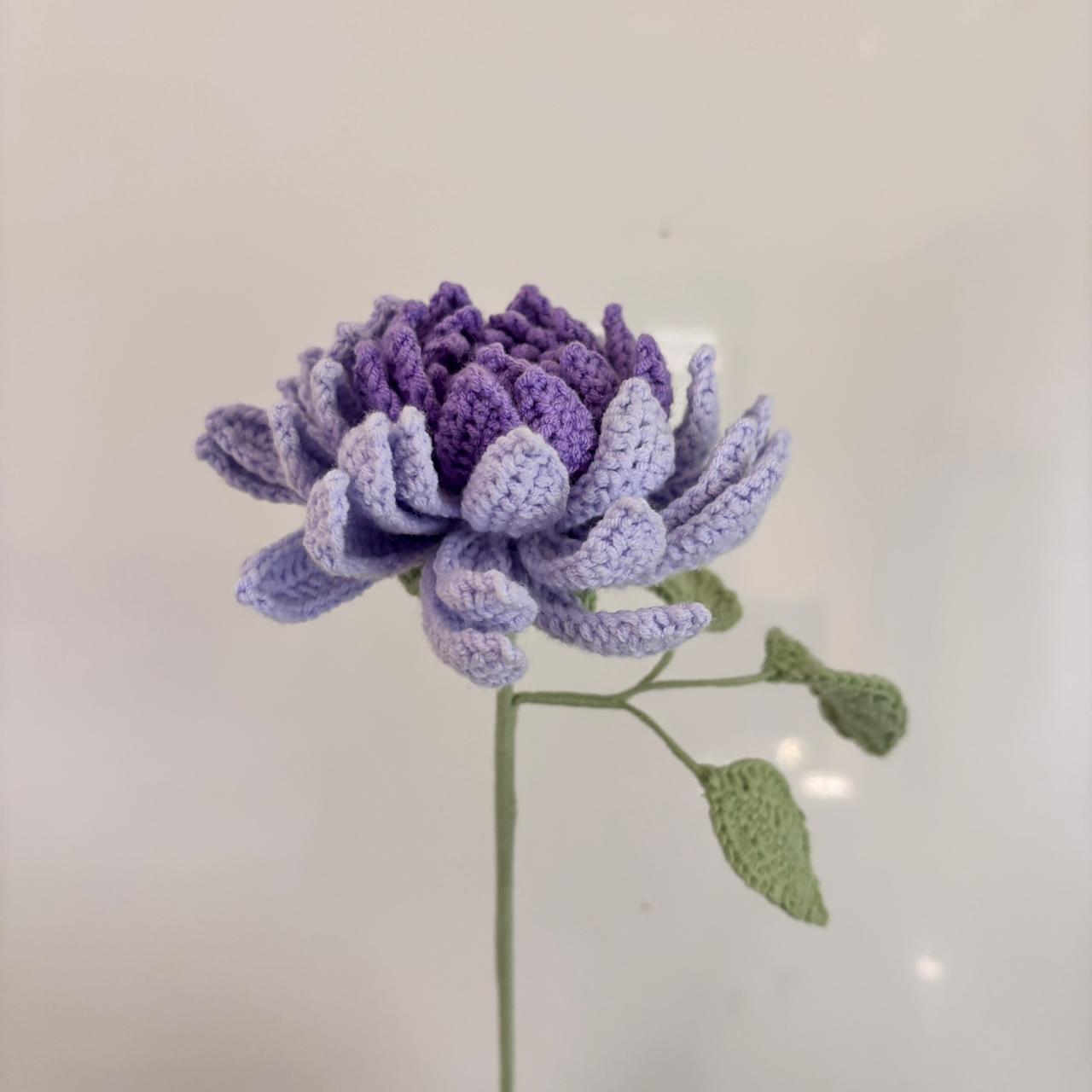 Pastel Dahlia's